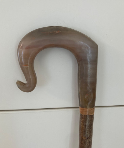 Corno mucca truffatore - di,