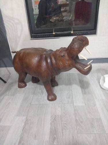 Ippopotamo pelle - in,