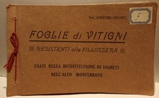AL1 Foglie di Vitigni