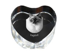 Ragdoll Orologio Con Foto Di