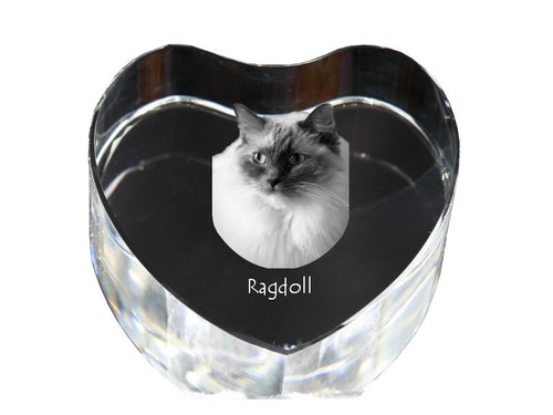 Ragdoll orologio con - ragdoll,