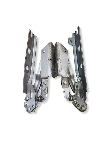 Cerniera cofano motore