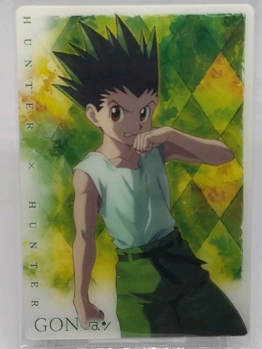 Gon hunter itajaga - hunter, x