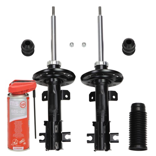 Ammortizzatori - 2x, +