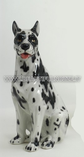Cane alano arlecchino - cane,