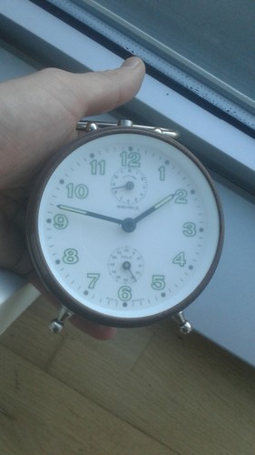 Wehrle polo marrone - marrone, w17