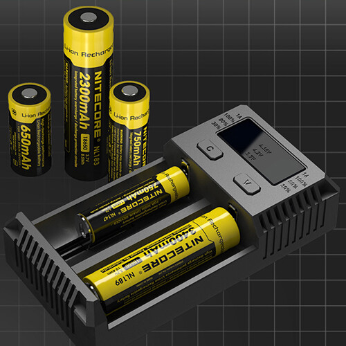 Carica batterie professionale