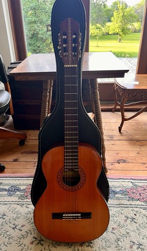 Chitarra acustica classica