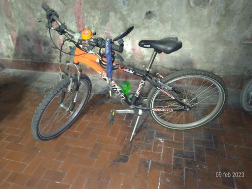 Bicicletta atala mtb oxford - atala,