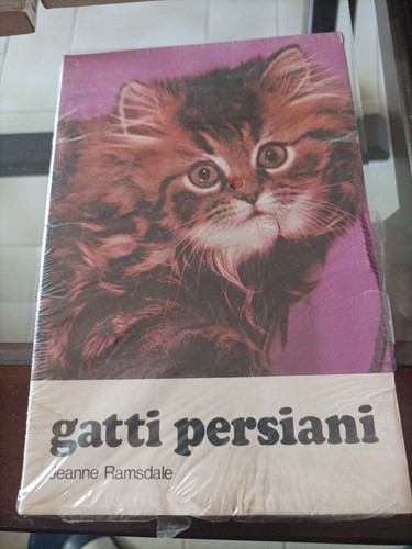 Gatti persiani jeanne - gatti,