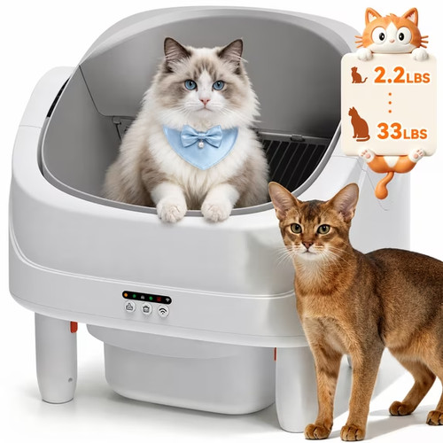 Nuovissima lettiera per gatti