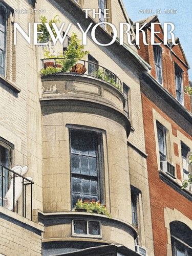 The new yorker - new,