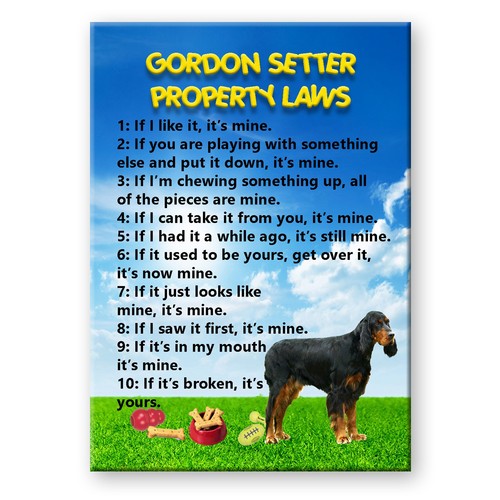 Gordon setter leggi - gordon,