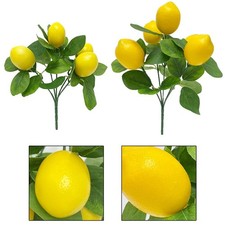 Limoni Artificiali Arredamento