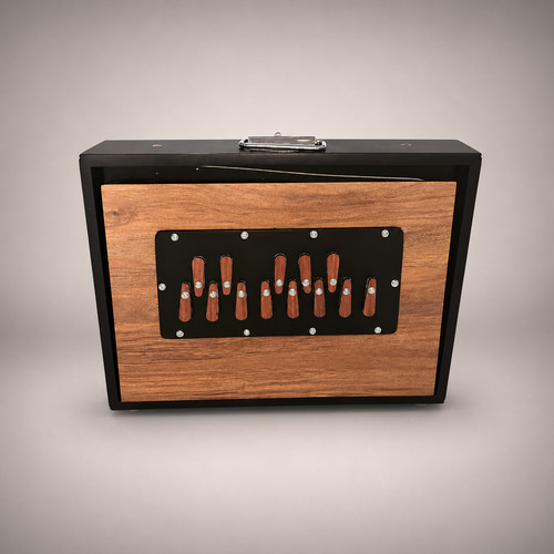 Shruti box con pedale - box, tuning