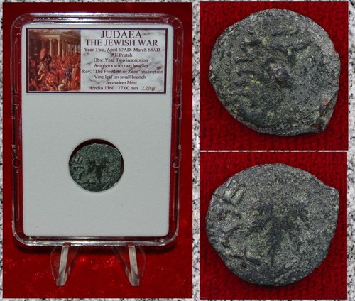 Moneta antica giudea - antica, guerra