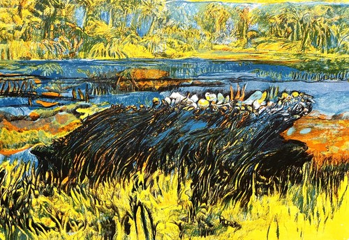 Robert carroll litografia - carroll,