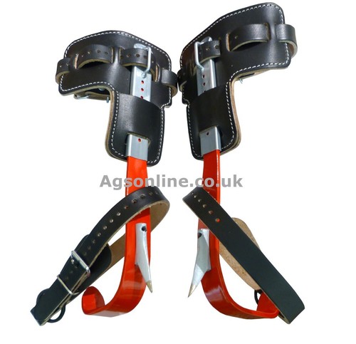 Picchetti arrampicata albero