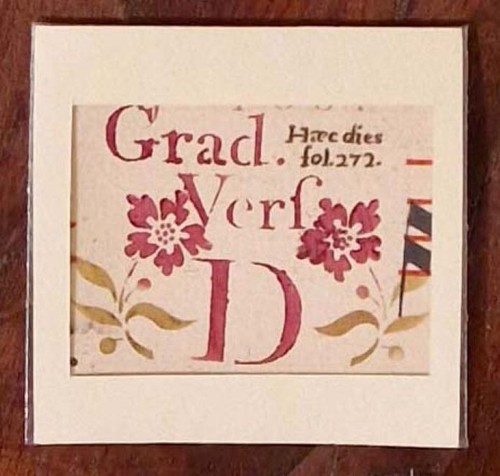 Capolettera lettera d - capolettera,,