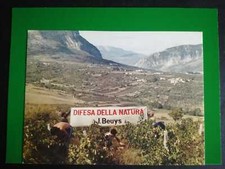 Joseph Beuys, Difesa della