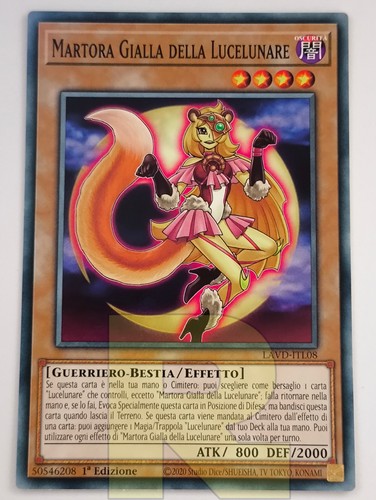 Martora gialla della - martora,