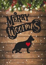 Cane cucciolo pastore svizzero