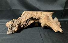 Espositore bonsai legno radice