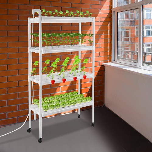 108 plantsite hydroponic grow - hydroponic,