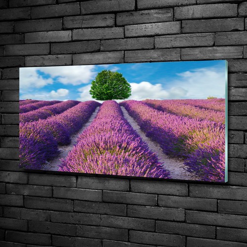 Quadro immagine arte parete - immagine,