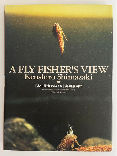 Fly fisher view aquatic - a,