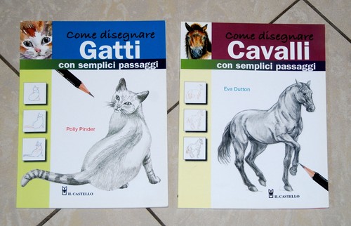 Come disegnare cavalli gatti - come, /