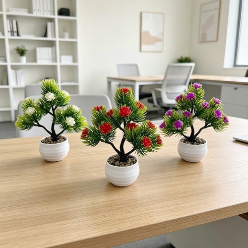 Bonsai pino piccolo pianta - pino,