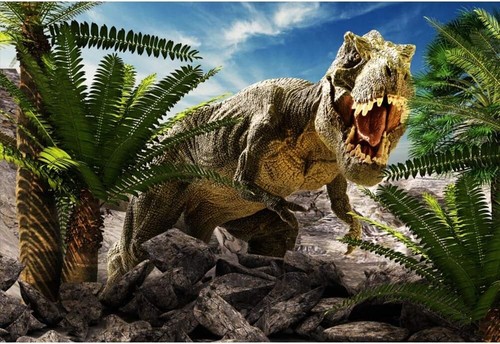 Dinosauro vinile x 1 - in, 2,2