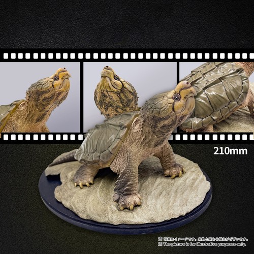 Animal heavenly body piedi - animal, in