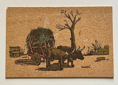 Sardegna carro buoi - a,