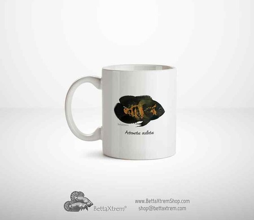 Cap mug cichlid astronotus - cap,
