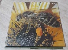 Le Orme/ Piccola  Rapsodia Dell Ape/ Vinile 33 Giri Philips Poligram 1980 Raro