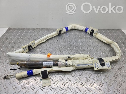 Protezione tetto volkswagen - protezione,