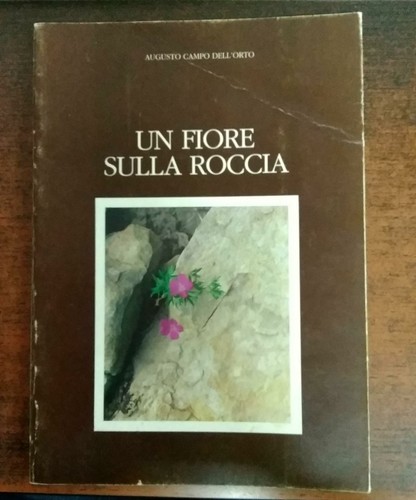 Fiore sulla roccia - fiore,