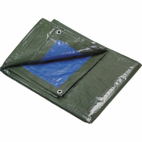 Telo verde pvc - telo,