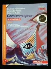 CARO IMMAGINAR - Perché