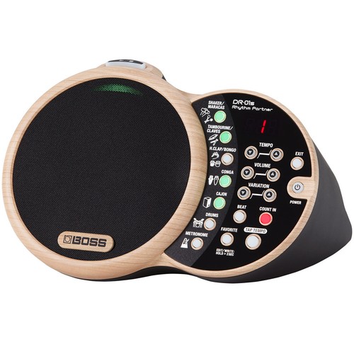 Boss 01s rhythm partner - boss,