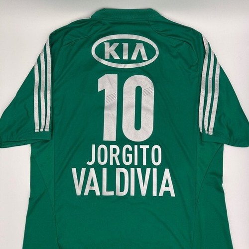 Valdivia palmeiras - valdivia, #10