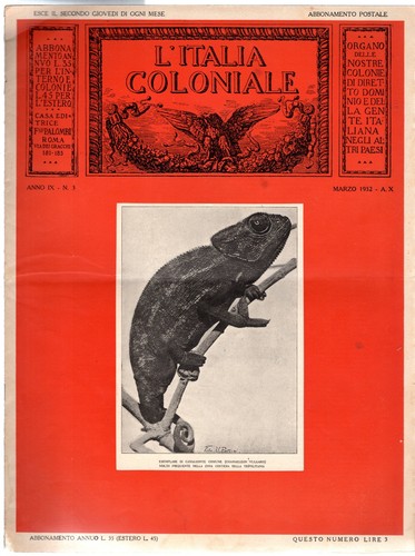 Italia coloniale n 3 - l'italia,