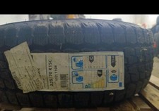  Pneumatico Firestone