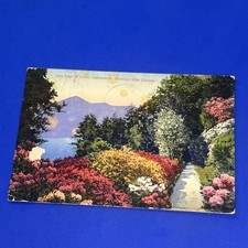 LAGO DI COMO CADENABBIA