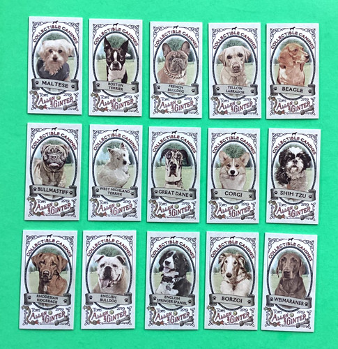 Topps allen ginter 2019 set - allen,