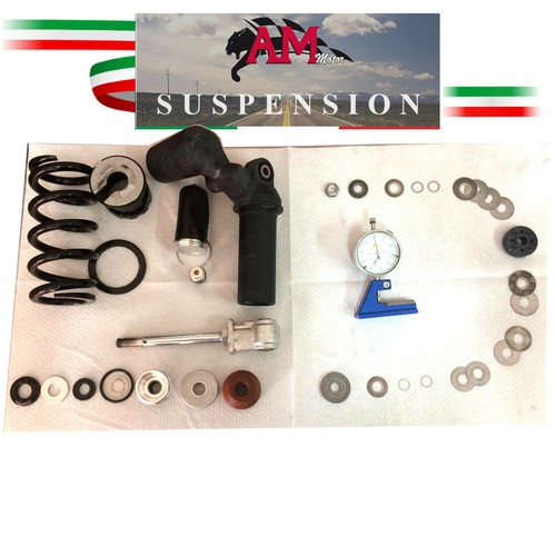 Revisione mono ammortizzatore - revisione,