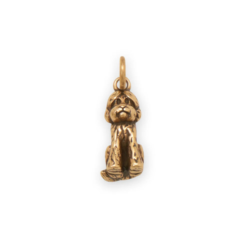 Charm labradoodle donna - charm,