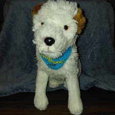 RARO Hotel per Cani Friday